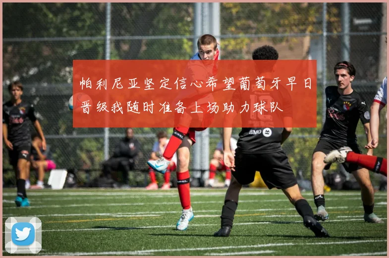 帕利尼亚坚定信心希望葡萄牙早日晋级我随时准备上场助力球队