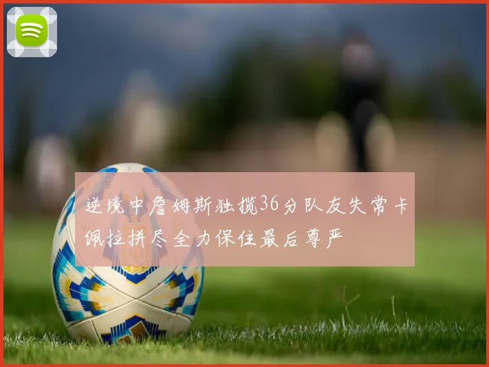 逆境中詹姆斯独揽36分队友失常卡佩拉拼尽全力保住最后尊严