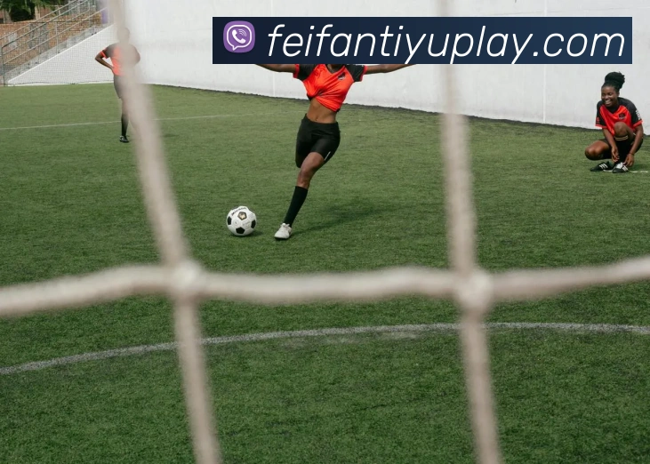 多媒体互动体验